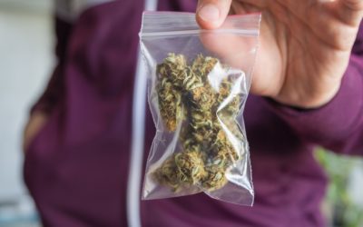 3 Tips for Choosing Cannabis Packaging and Labeling Solutions