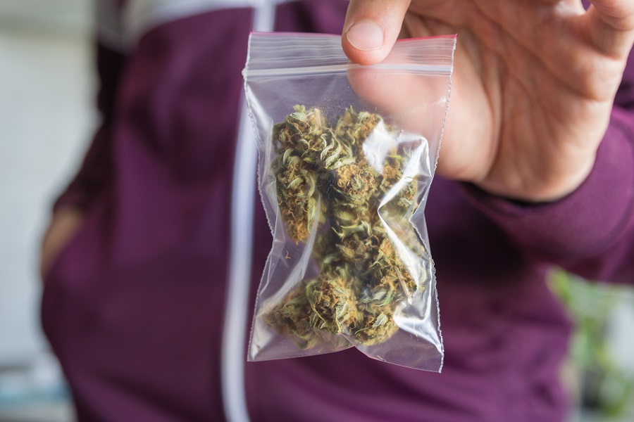 3 Tips for Choosing Cannabis Packaging and Labeling Solutions