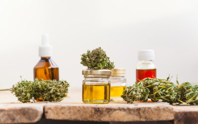 Are You on Top of Traceability for Your Emerging Cannabis Business?