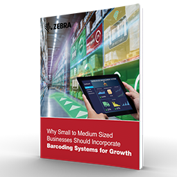 EBook cover for SMB