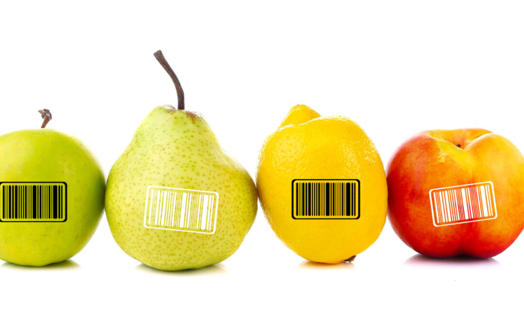 Barcode Scanner Management in SMB Food Manufacturing: End-to-End Zebra Technologies Solutions for SMBs