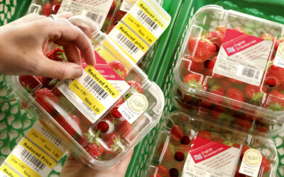 Barcode Printing Management in SMB Food Manufacturing: End-to-End Zebra Technologies Solutions for SMBs